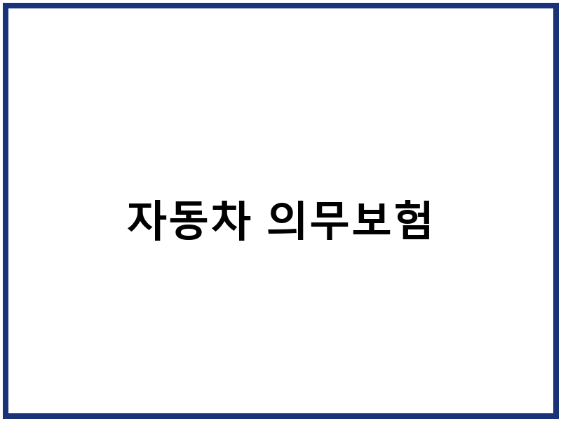 자동차 의무보험
