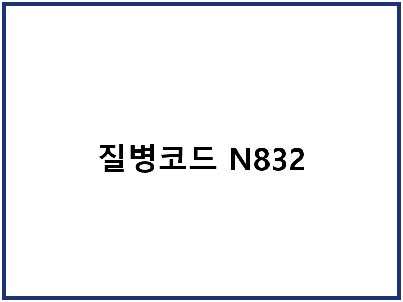 질병코드 N832